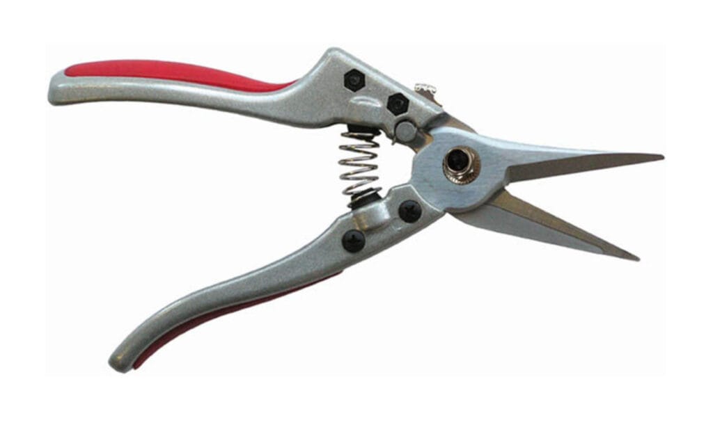 Needle Nose Pruner 1 Needle Nose Pruner