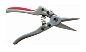 Needle Nose Pruner
