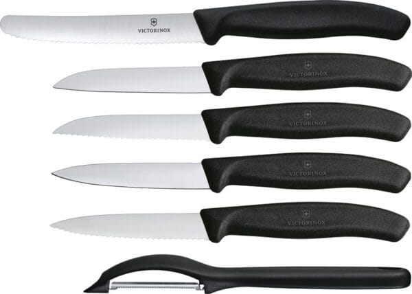 Victorinox Swiss Classic Set