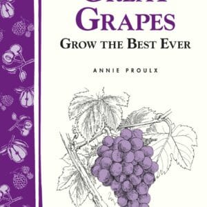 Great Grapes