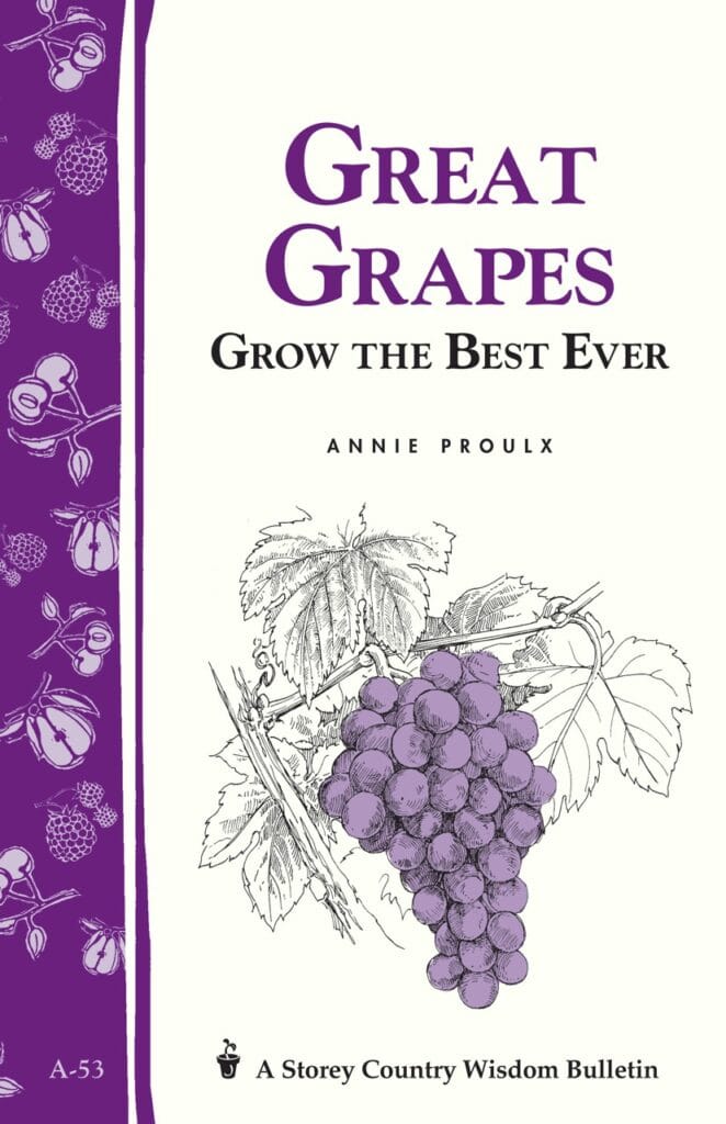 Great Grapes 1 Great Grapes