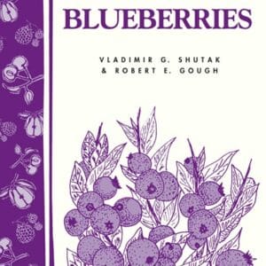 Grow the Best Blueberries