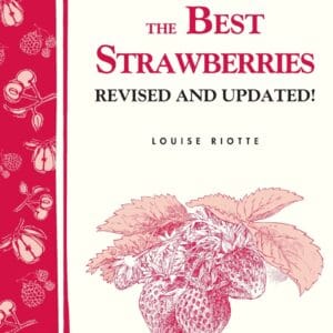 Grow the Best Strawberries