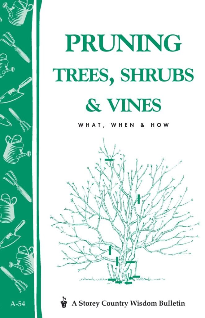 Pruning Trees Shrubs & Vines 1 Pruning Trees Shrubs & Vines