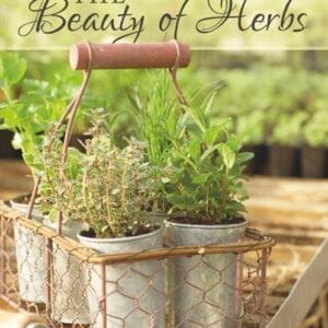 The Beauty of Herbs