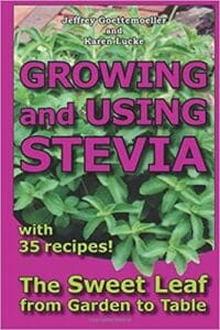Growing Stevia