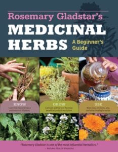 Medicinal Herbs – A Beginners Guide