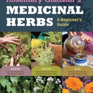 Medicinal Herbs – A Beginners Guide