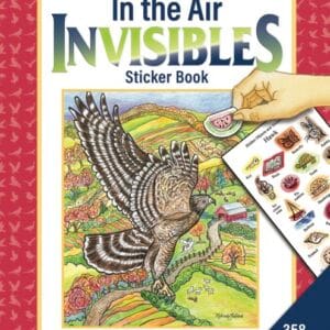In the Air Invisibles Book