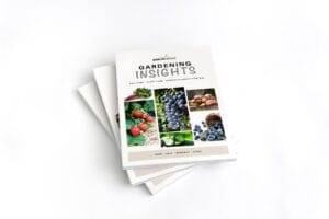 Gardening Insights