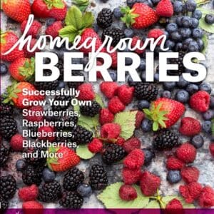 Homegrown Berries