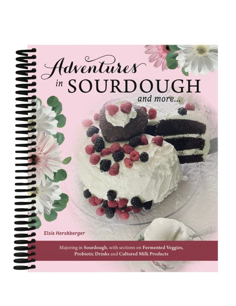 Adventures in Sourdough 1 Adventures in Sourdough