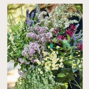 The Fragrant Flower Garden