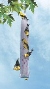 Seed-Sack Finch Feeder