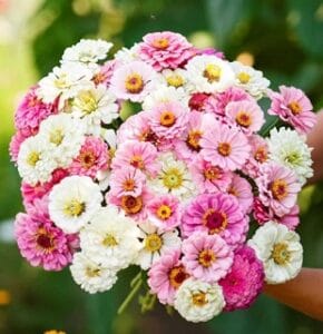 Isn’t This Romantic