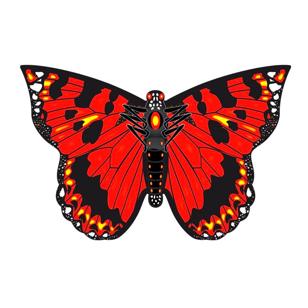 Kite . Butterfly 2 Kite . Butterfly - Image 2