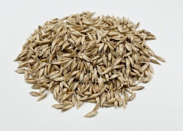 Einkorn . Milky Way