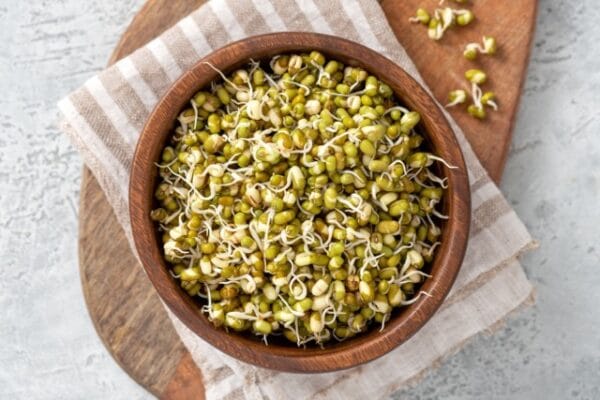 Sprouting Seed . Mung Bean