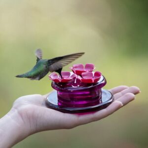 In-Your-Hand Hummingbird Feeder