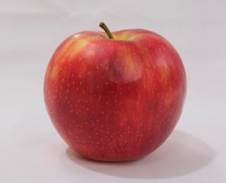 Jonagold 2 Jonagold - Image 2