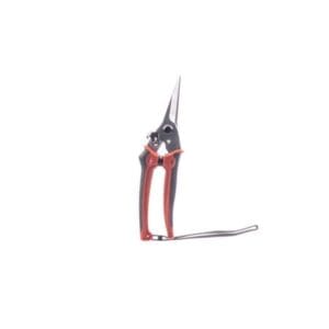 Radius 3/8″ Fine Pruner