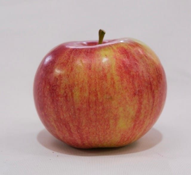 Mcintosh 2 Mcintosh - Image 2