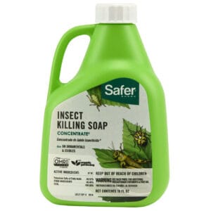 Insect Killing Soap