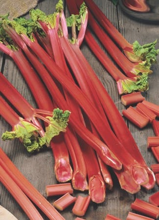 Crimson Red 1 Crimson Red