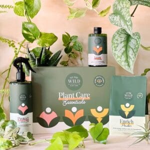 Houseplant Care Kit