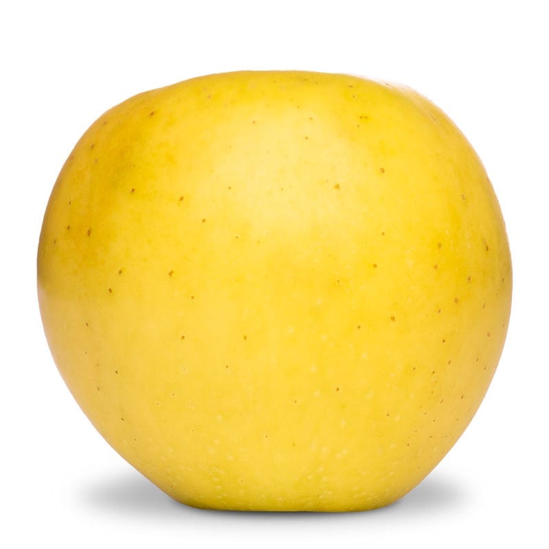 Goldrush 2 Goldrush - Image 2