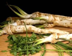 Horseradish
