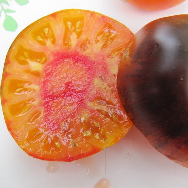 Lucid Gem 1 Lucid Gem