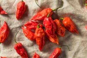 Ghost (Bhut Julokia)
