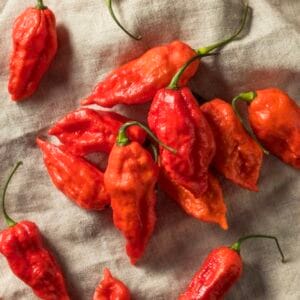 Ghost (Bhut Julokia)