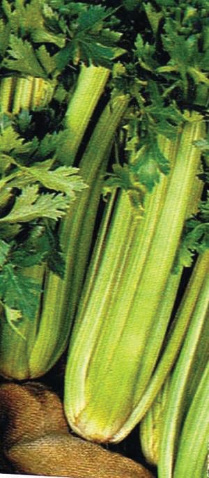 Fordhook 2 Fordhook - Image 2