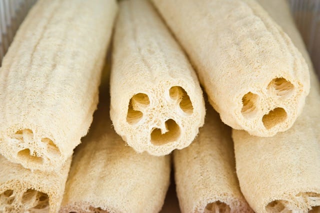 Luffa 2 Luffa - Image 2