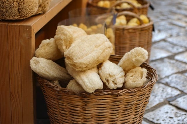 Luffa 3 Luffa - Image 3