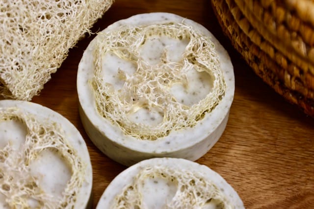 Luffa 5 Luffa - Image 5