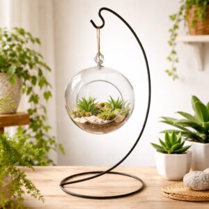 Desktop Terrarium