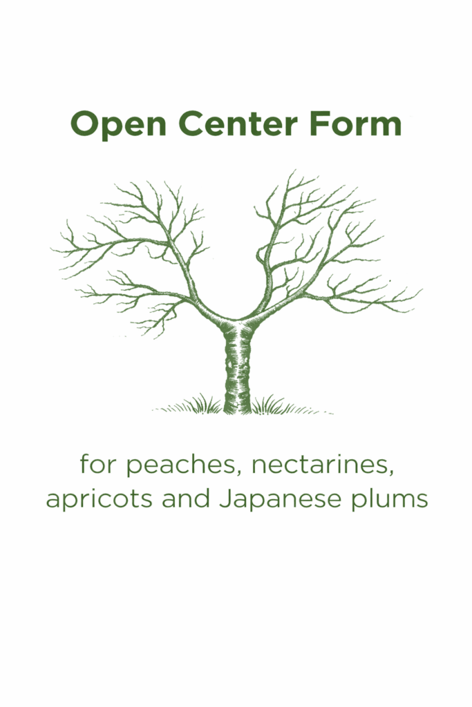open center form