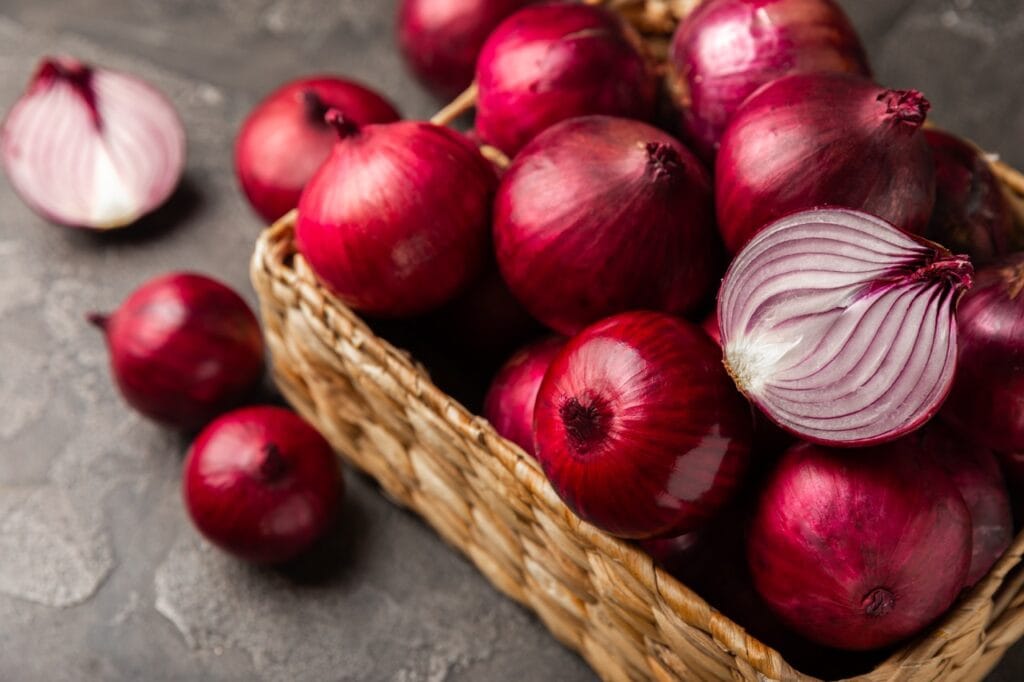 Shallots . Holland Red 1 Shallots . Holland Red