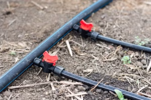 Header Line . 1″ x 15′
