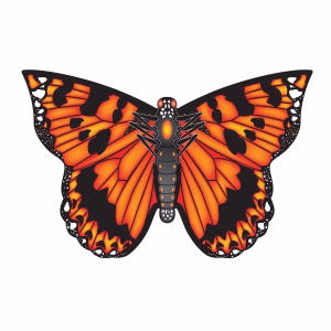 Kite . Butterfly